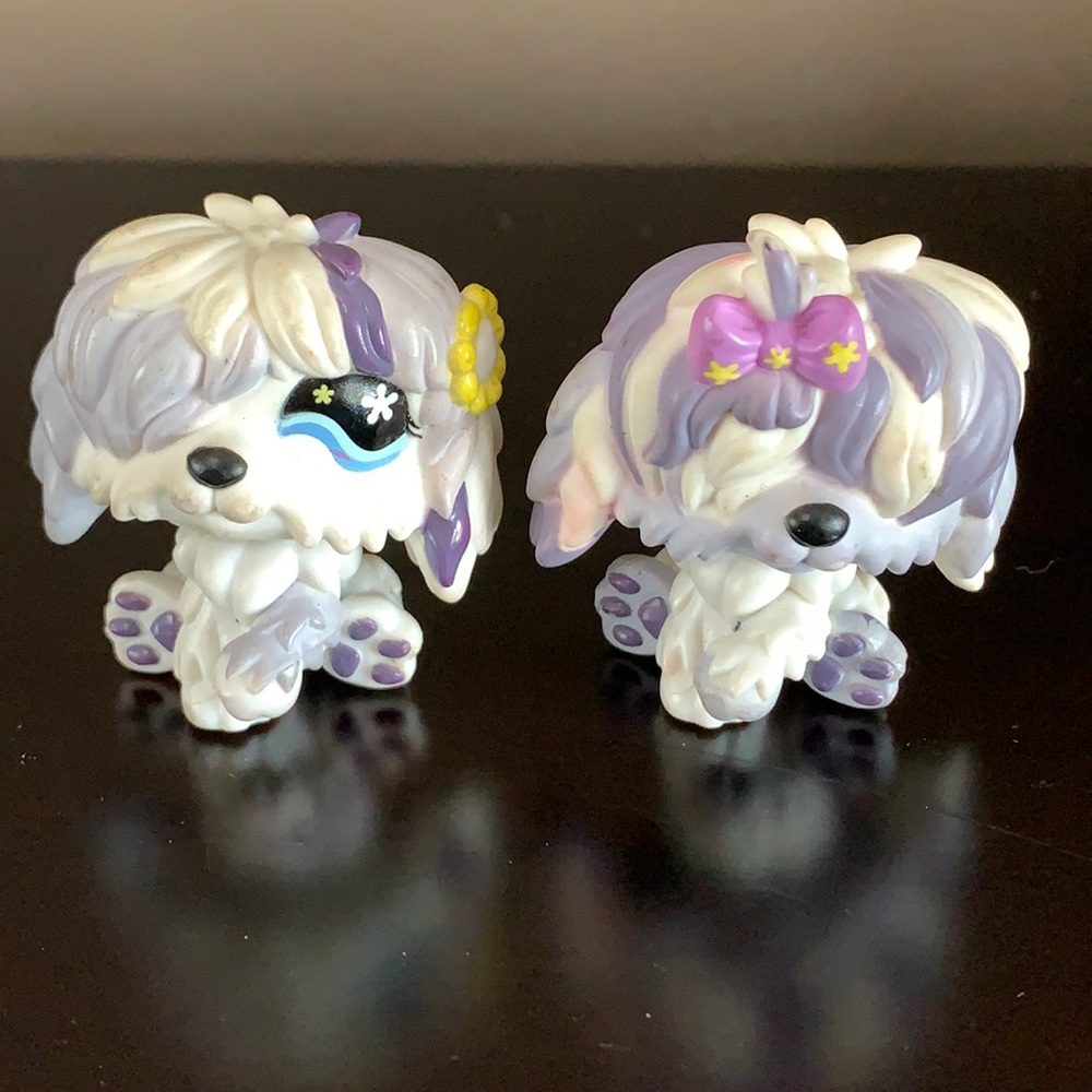 shaggy dog bundle ✨